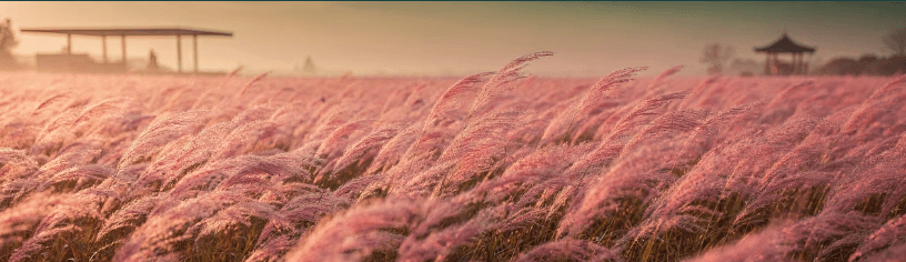 가을꽃 종류 5가지