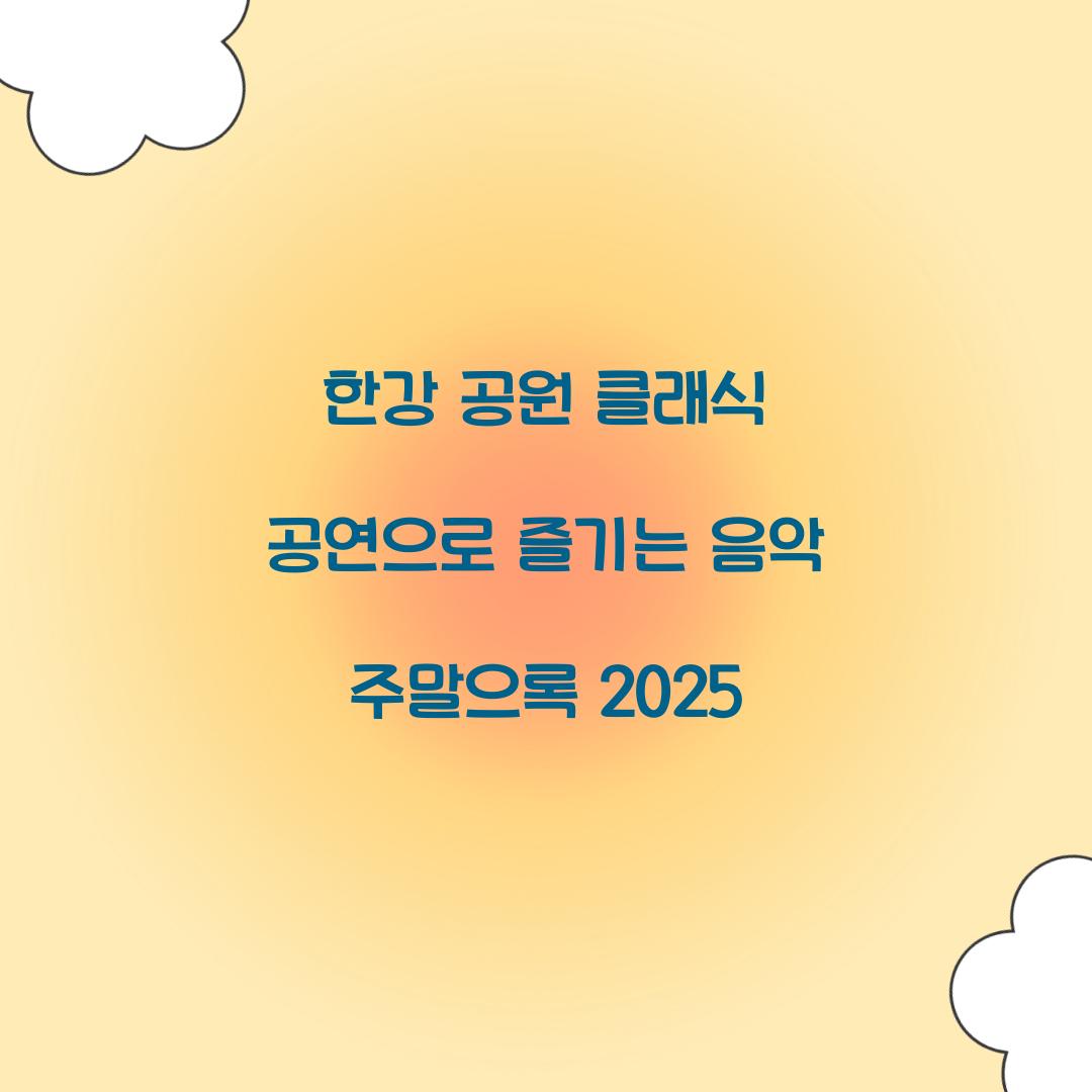 한강 공원 클래식 공연
