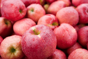 대장에 좋은 음식16