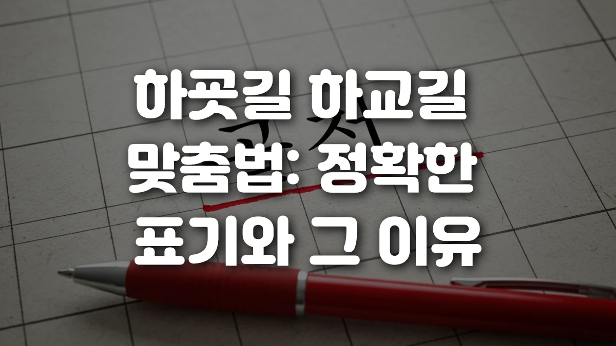 하굣길 하교길 맞춤법 정확한 표기와 그 이유