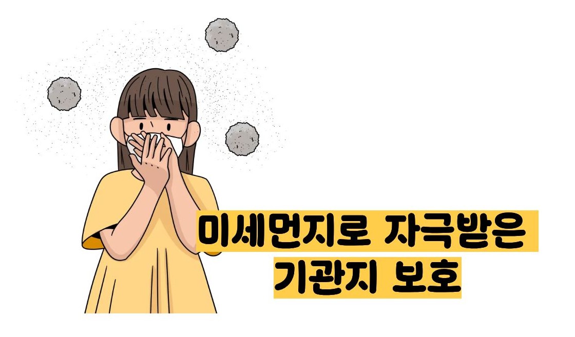 도라지청의 효능