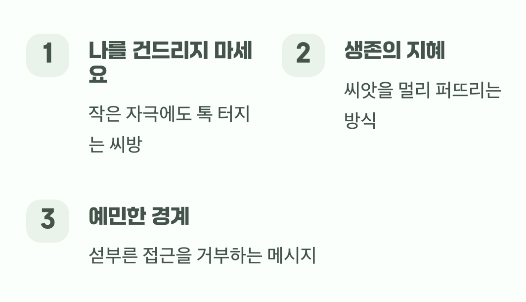 톡! 하고 터지는 경고, ‘나를 건드리지 마세요’