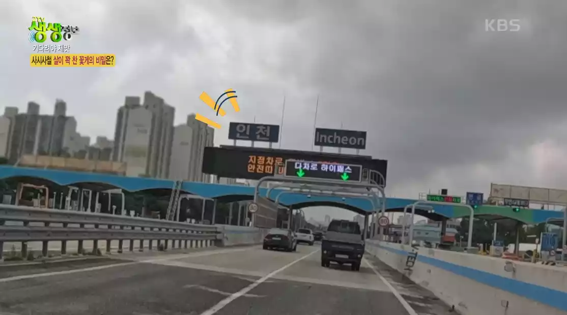 인천 톨게이트