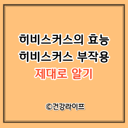 히비스커스의 효능&#44; 히비스커스 부작용
