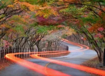 내장산 단풍 명소 단풍시기 산책로 사진스팟 한눈에_16