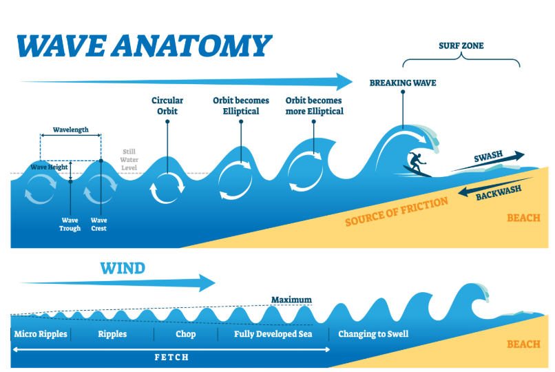 풍랑&middot;너울&middot;쓰나미 생성 원리 비교 도식 &mdash; 파도 종류별 파장&middot;파고&middot;에너지 전달 메커니즘 인포그래픽