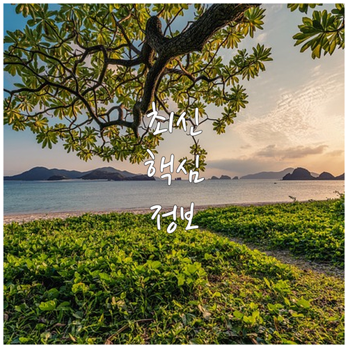 내 차 시세 급락 막는 3가지 핵심 