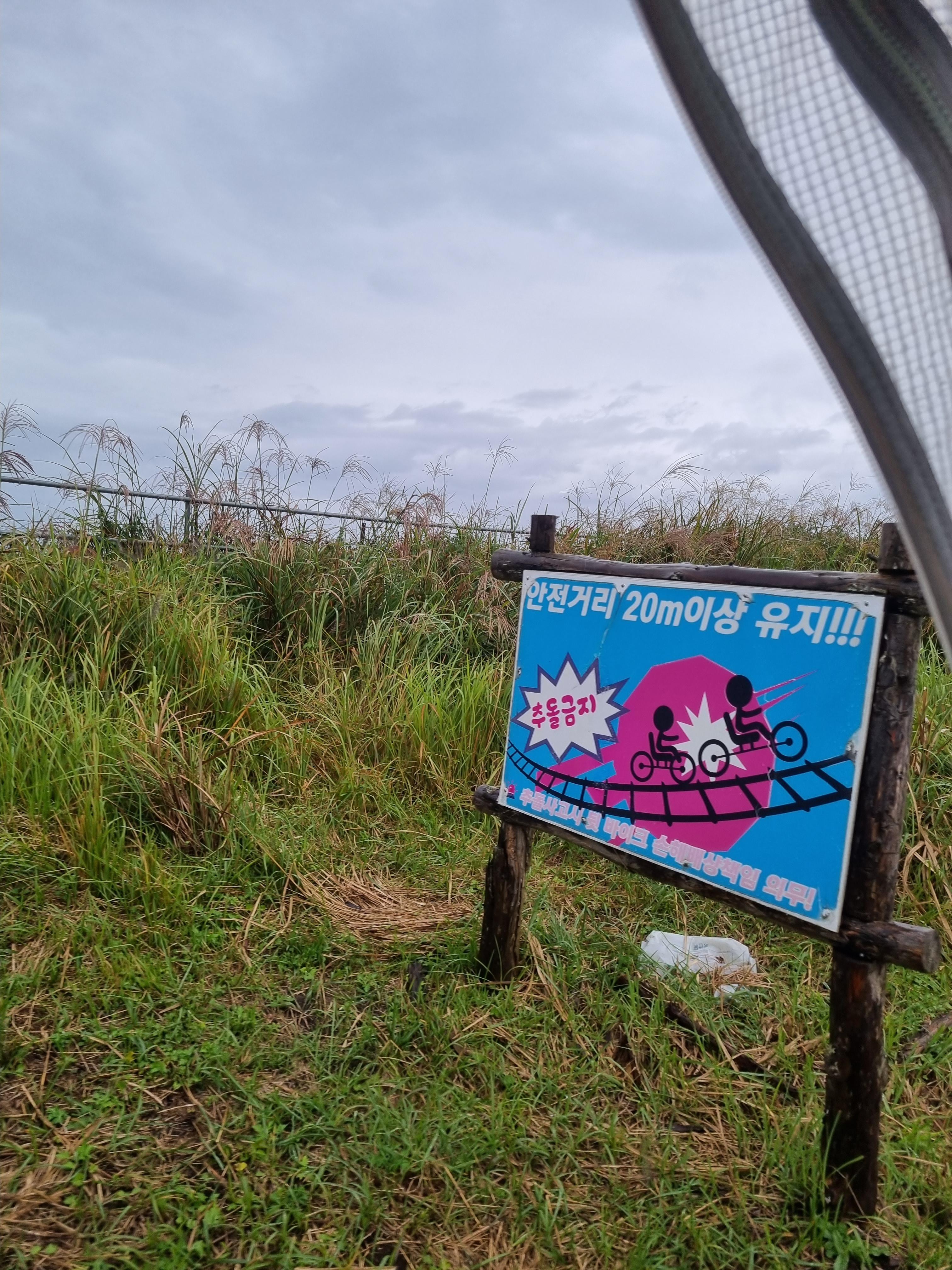 제주레일바이크