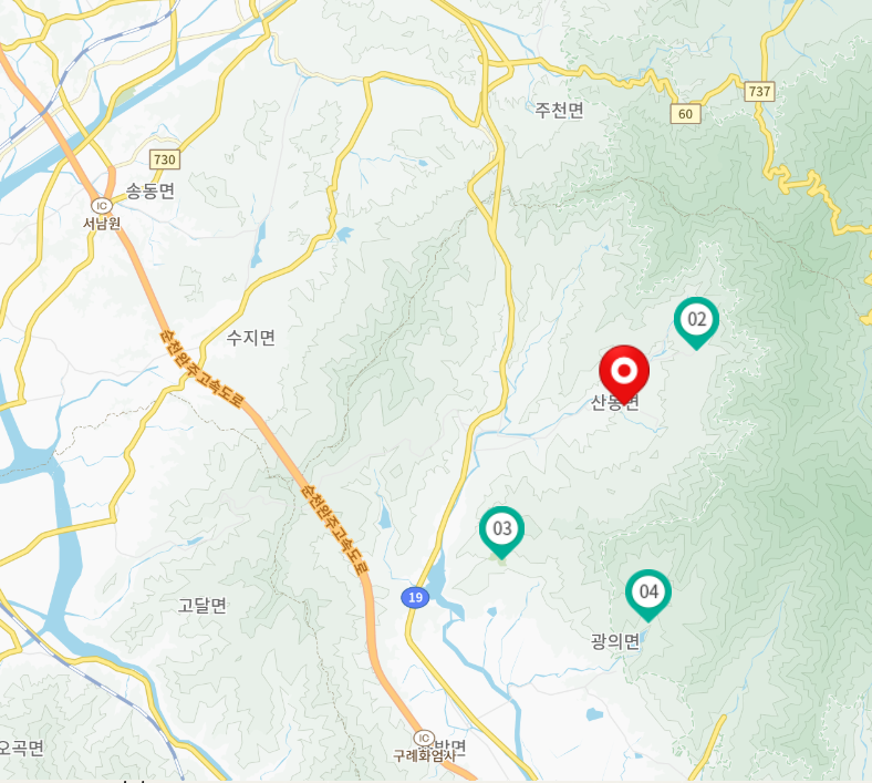 2025 구례 산수유축제 총정리