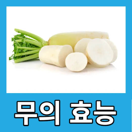 무즙의 효능 어린이 무즙