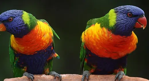 아빠 육아휴직 장려금 신청 방법