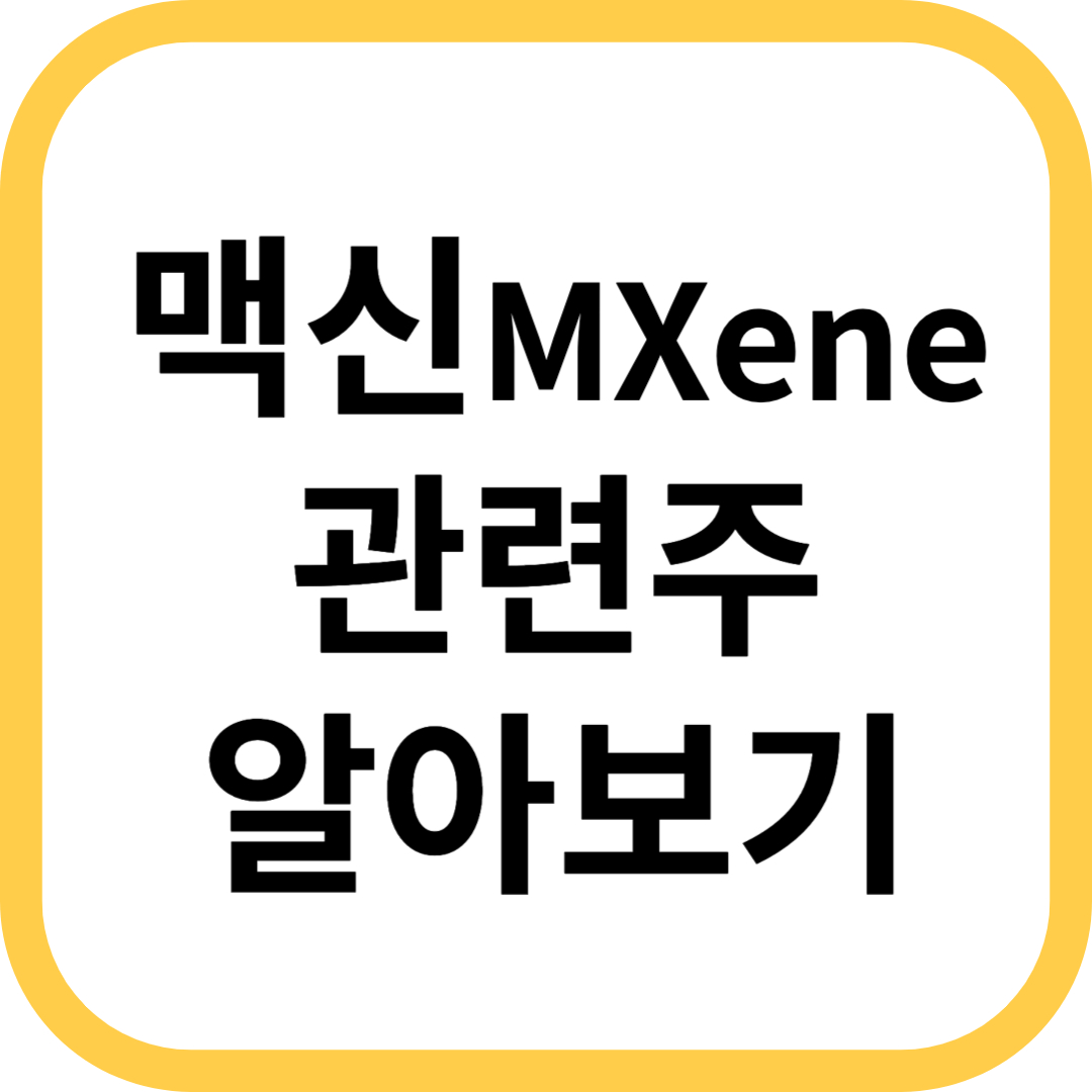 맥신관련주