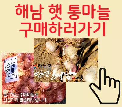 국내산통마늘