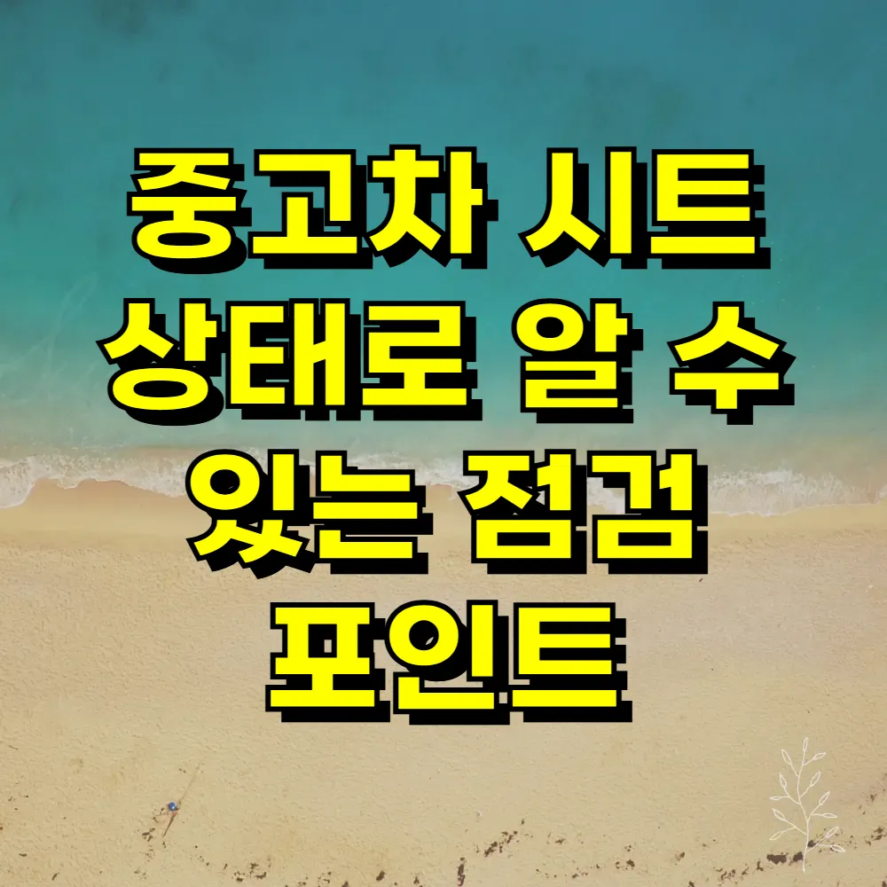중고차 시트 상태로 알 수 있는 점검 포인트