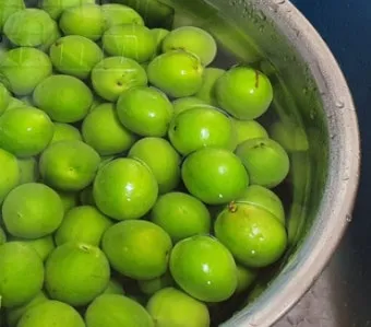 매실 씨 제거 후 매실청 매실장아찌 담그는 실전 방법_17