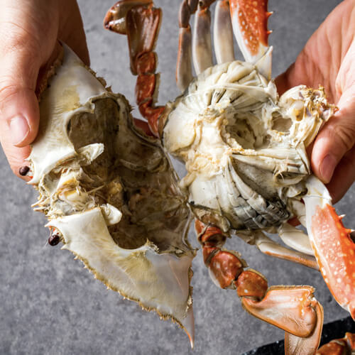 극한직업 진도 꽃게 택배 주문하기