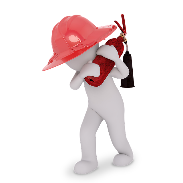 소방안전교육사 자격증 활동