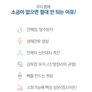 용융소금 효능