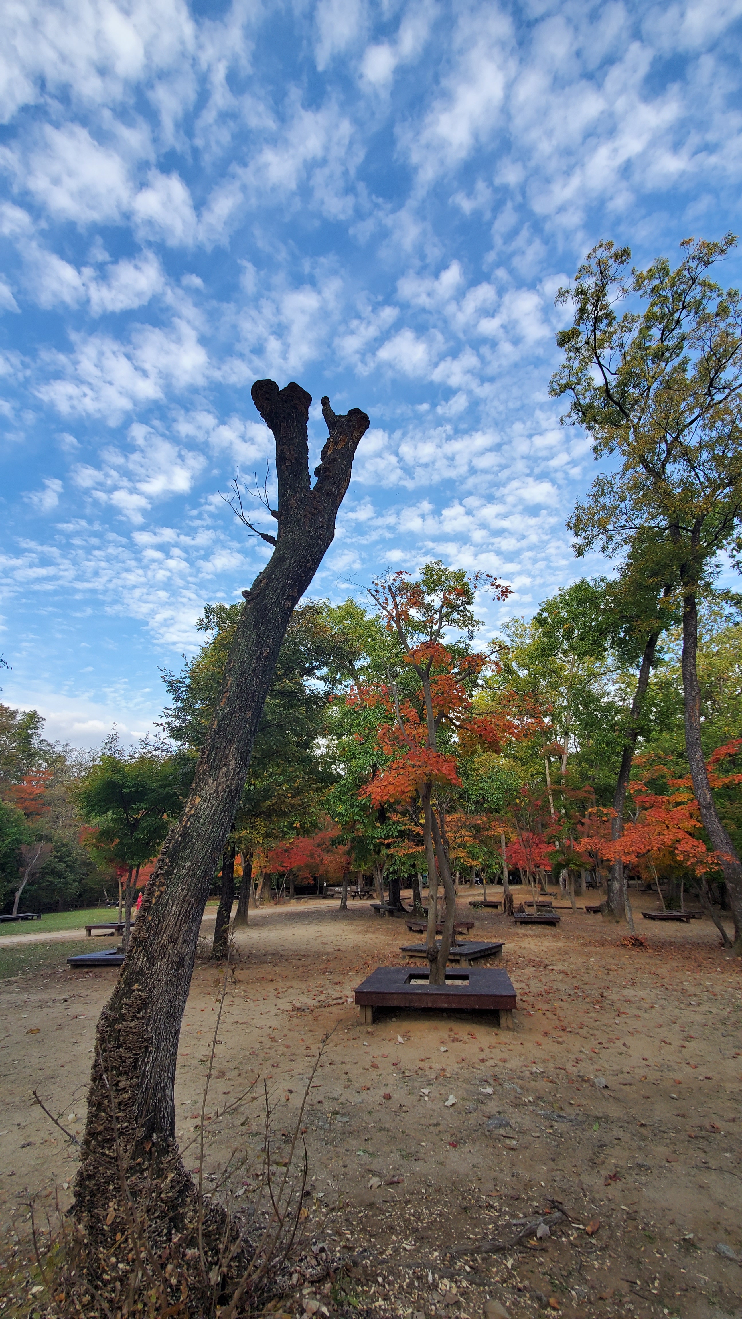 국립 수목원 예약