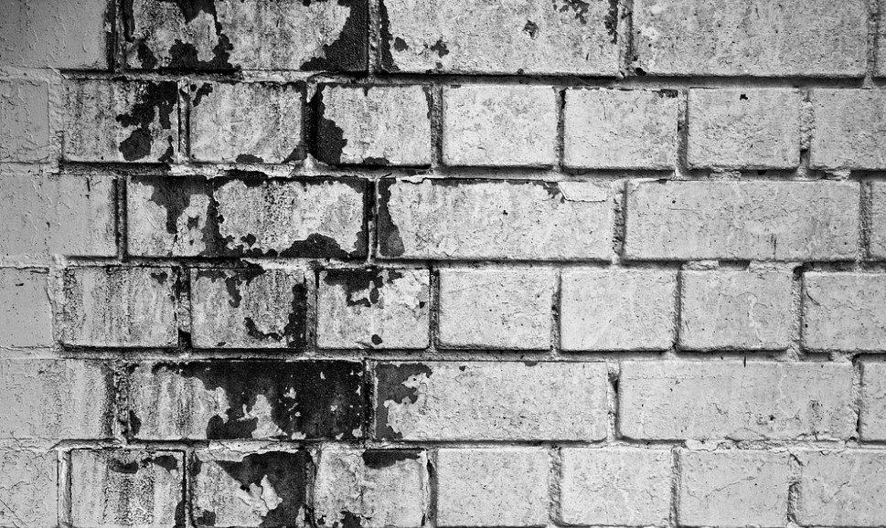 장마철 곰팡이 예방법 및 곰팡이 제거방법