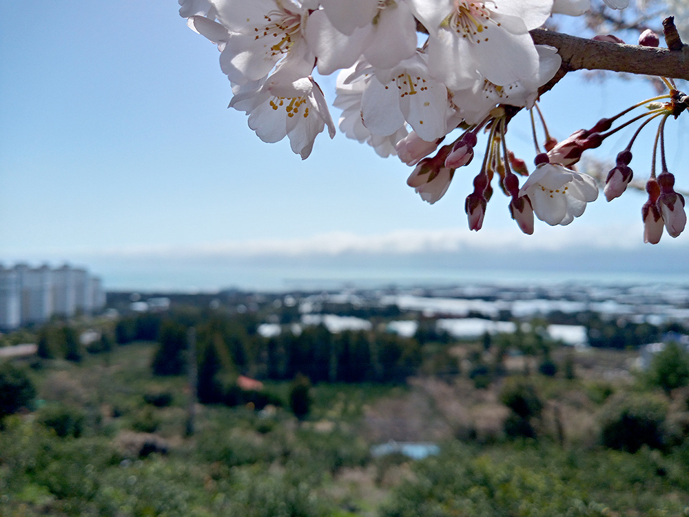 올레7-1코스 고근산