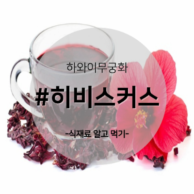 히비스커스