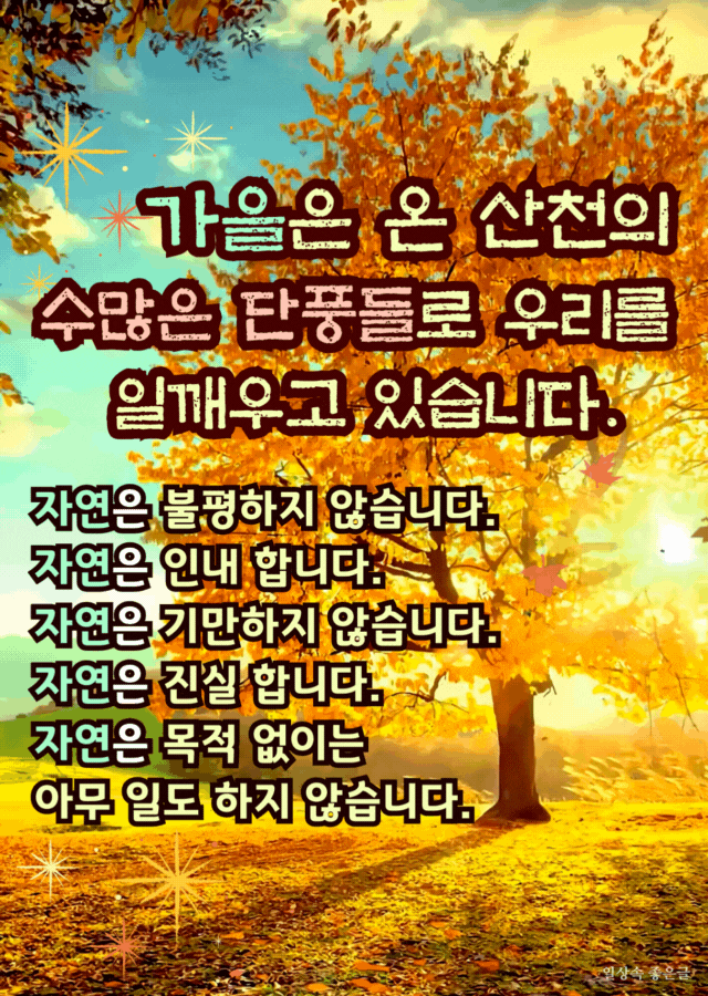 가을이 아름다운 이유 단풍 시 이미지