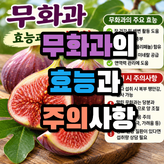 무화과의 효능