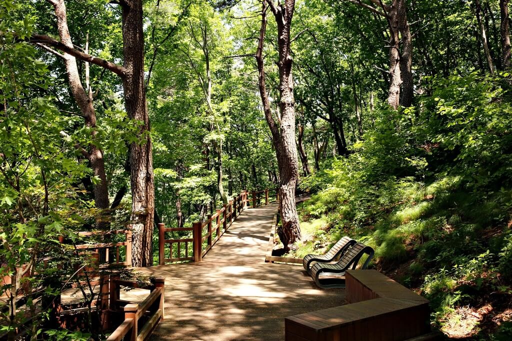 국립산림치유원 산책로