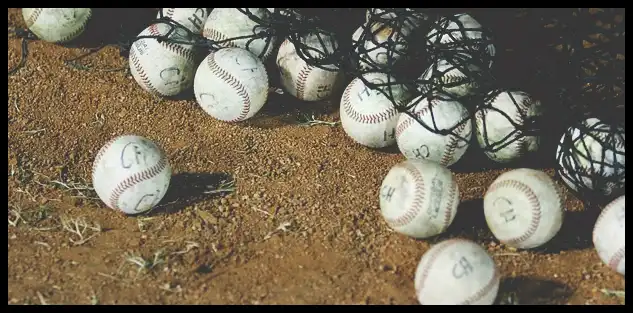 2024 WBSC 야구 프리미어 12 최종 명단 엔트리 확정!