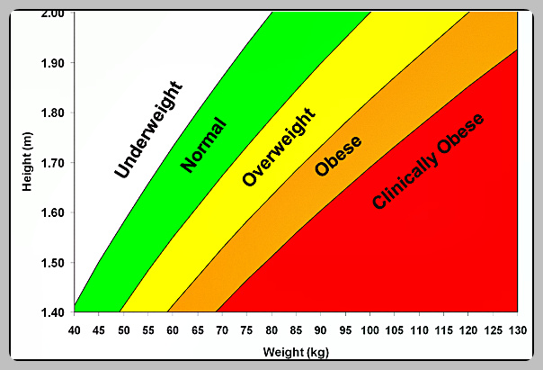 BMI 계산법 (남자, 여자 비만도 계산기)