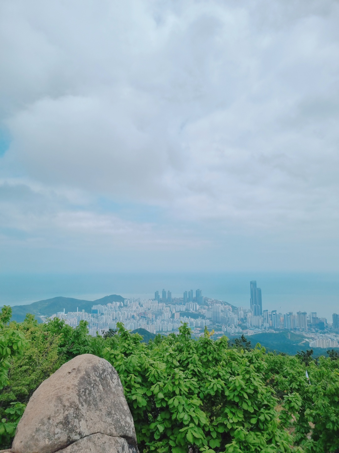장산