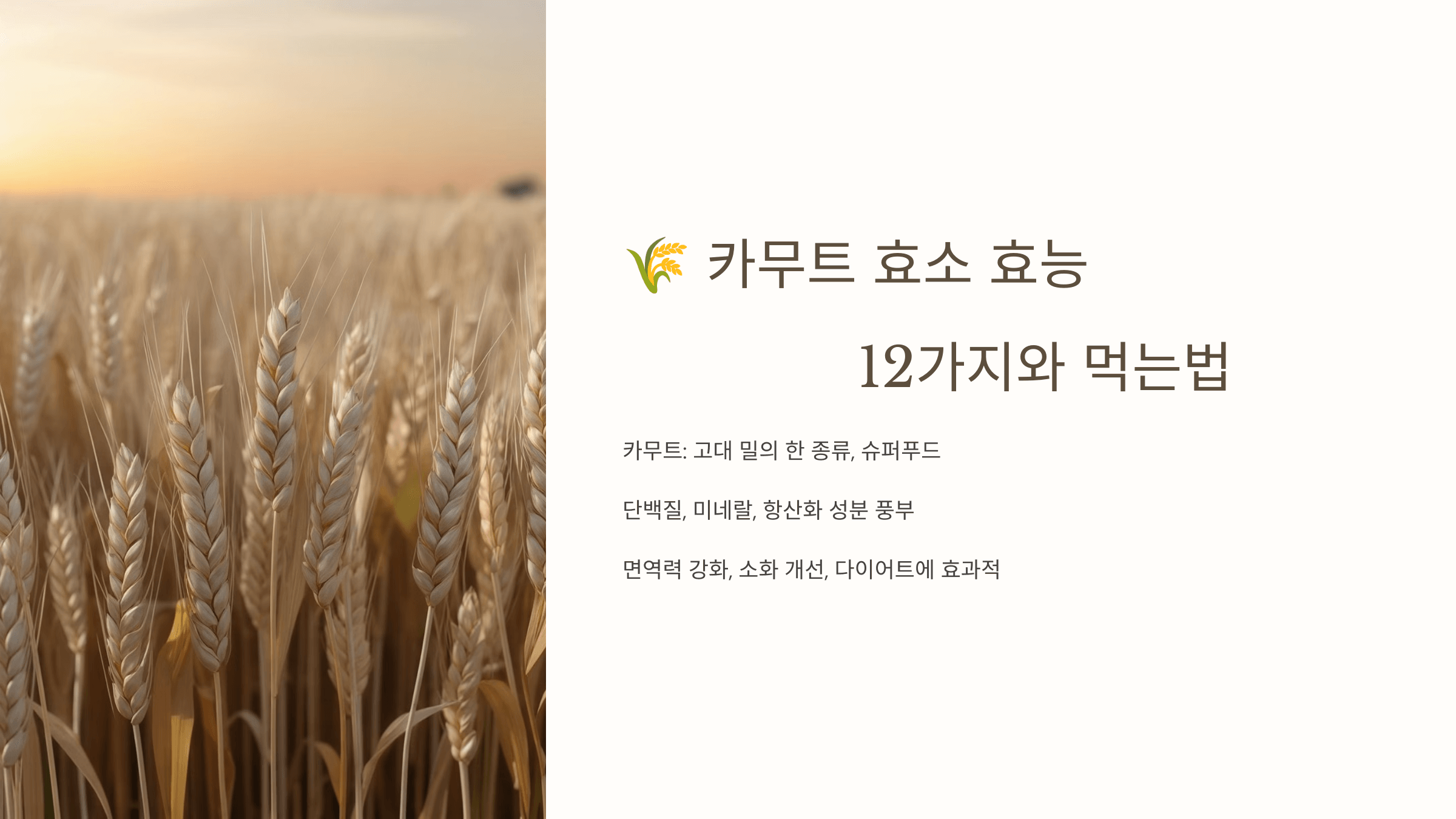 카무트 효소와 관련된 사진입니다.