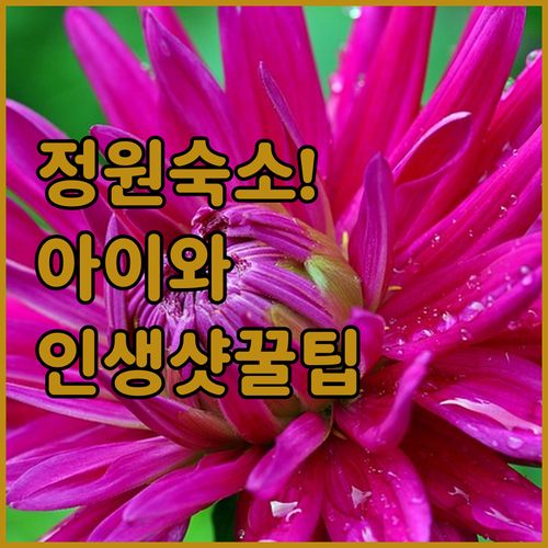 아이와 가기 좋은 거창 함양 넓은 정..