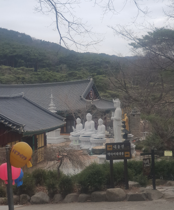 동화사 대웅전가는길