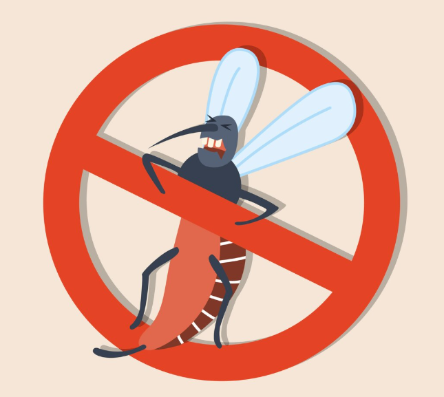 아기 모기 기피제 고르는 법 (안전성과 효과 비교)