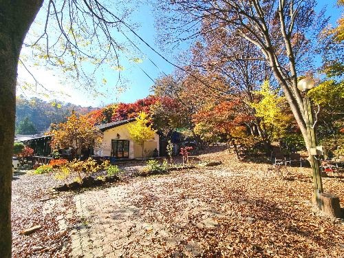 참 숯 바베큐, 용인 맛집, 고기리 맛집, 장작구이, 장작구이 통닭, 장작구이 삼겹살