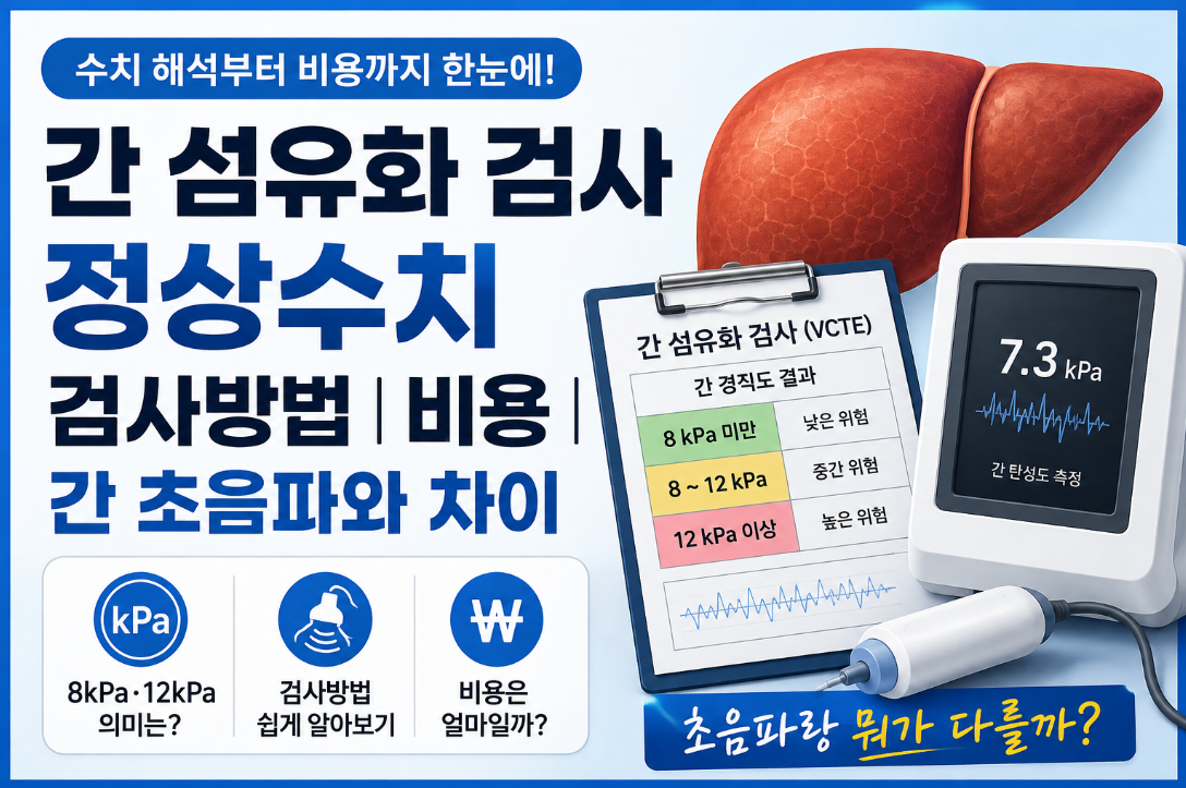 간 섬유화 검사 정상수치｜8kPa 의미와 비용, 간 초음파와 차이