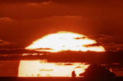 울릉도 배편 예약