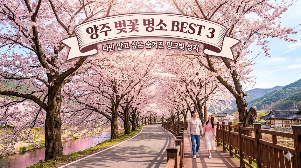 양주 벚꽃 명소