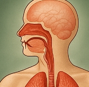 가래가 생기는 원인