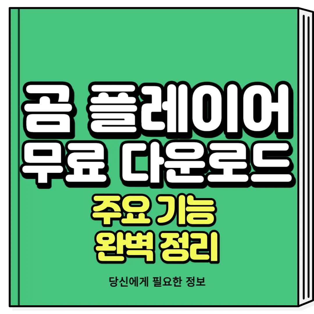곰 플레이어 다운로드 자막 코덱