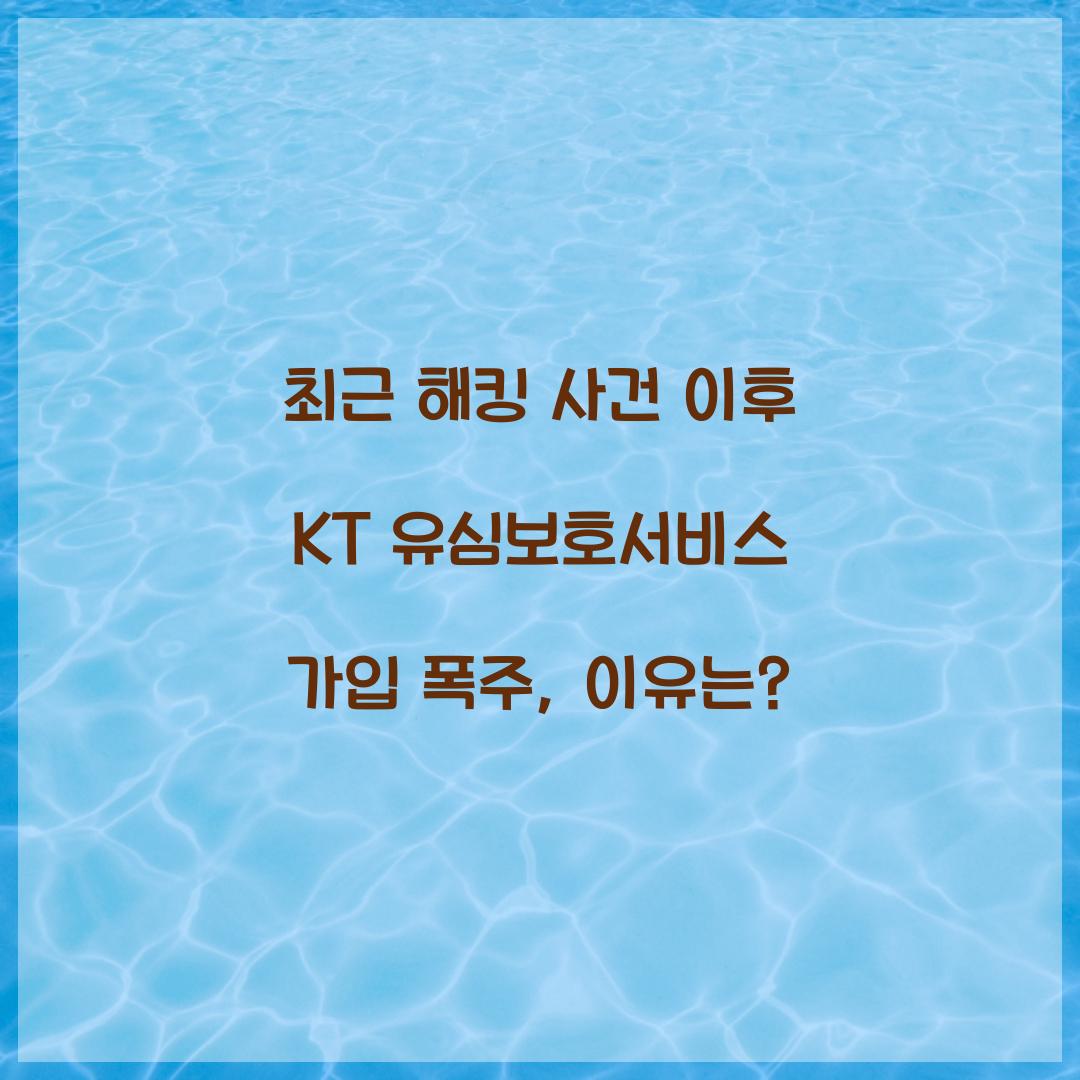 최근 해킹 사건 이후 KT 유심보호서비스 가입 폭주