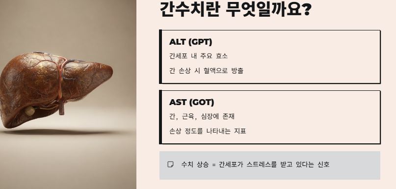 간수치란?