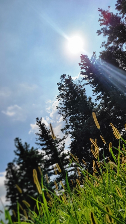 제주-가족여행-코스-마음디톡스-비밀의 숲-휴양림