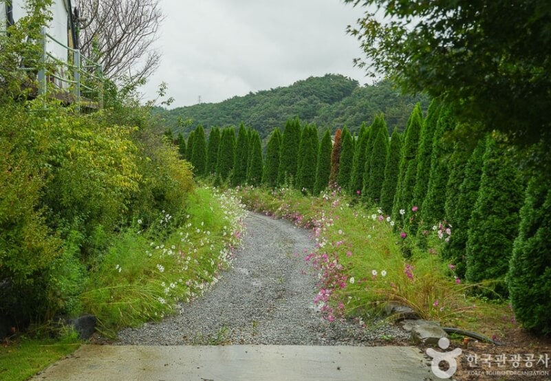 서산 가볼만한곳 베스트 10