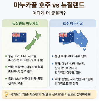 마누카꿀umf15-효능-먹는방법-추천-제품-호주-뉴질랜드