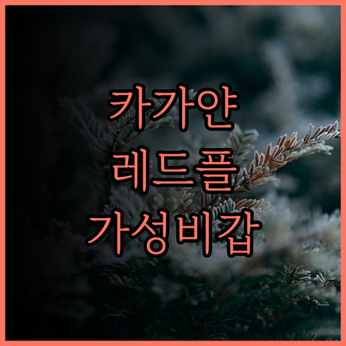 레드 플래닛 카가얀 데 오로 솔직 후