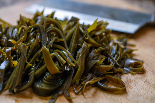 다시마 효능 및 부작용과 요리 방법 