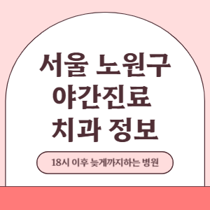 서울 노원구 야간진료 치과 병원 (18시 이후 늦게까지하는 병원)